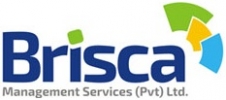 [Image: Brisca Management Services Private Limited]