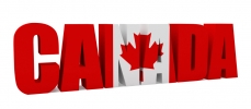 Silver-Bird Recruitment And Immigration Consultancy In Canada